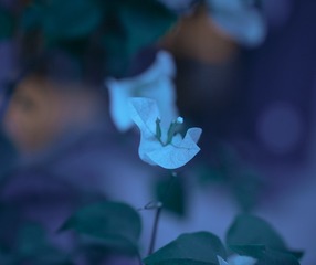 2F23F4A4-00BA-48FE-A62F-45711A40D106/L0/001
