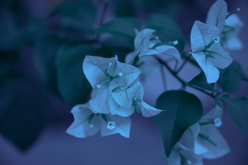049675D2-8A76-4A10-BDBA-4029EF9DD266/L0/001