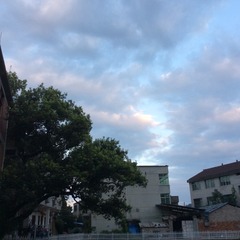 843837F6-4CF0-4FD9-9A0A-FB73361C0BC1/L0/001