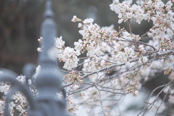 630F3729-F7FB-4385-A858-072B9BA4C6E4/L0/001