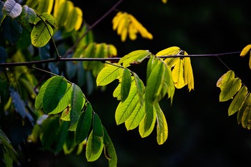 F05F8404-7EB1-456E-805C-CFA4CE872A90/L0/001