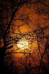 0C9AE7D4-43E7-41AB-A99E-0CD2EC846730/L0/001