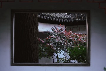 72E36751-AA2C-4B93-8BC4-A7048009B58D/L0/001