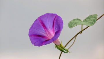 13053