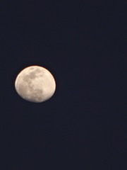 1504474