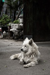 45364C28-5B9F-41A6-80EF-85378AF6E34A/L0/001
