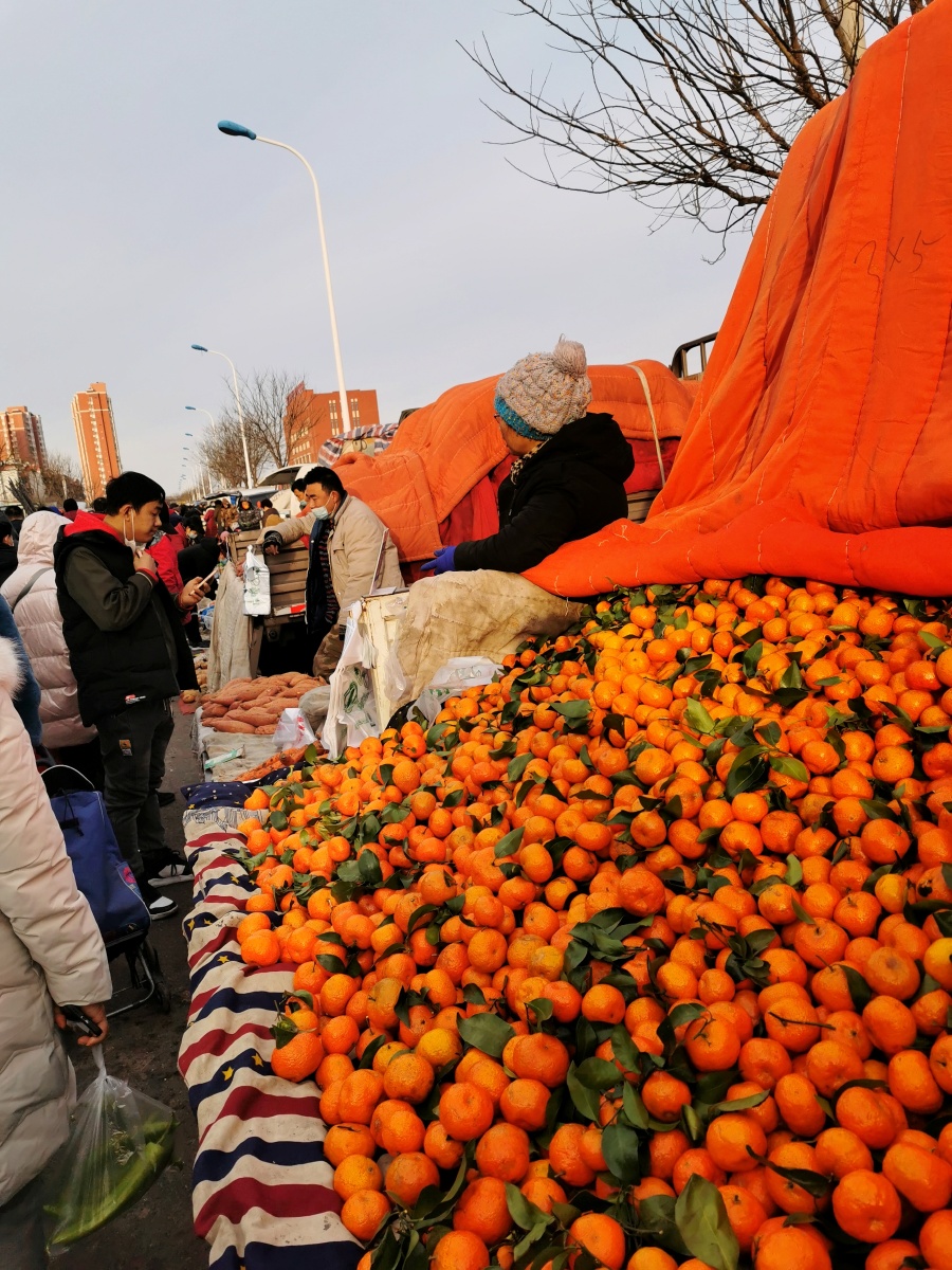 小年备年货北塘早市