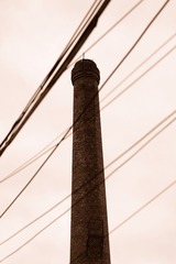 425501