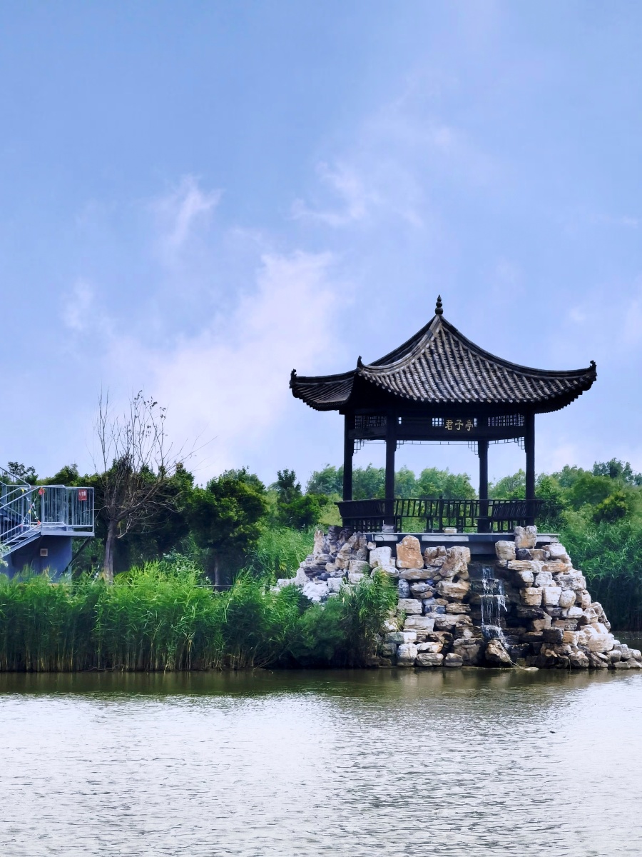 洽川黄河湿地三