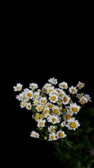 89428EB1-93FB-4305-A4DF-F0E6B6C96E11/L0/001