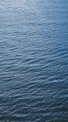 1F8F6506-7698-4A2C-8107-D46C8A699E11/L0/001