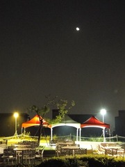 NIGHT