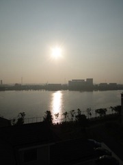 SUN1