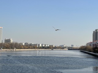 CE3CE73F-C9B1-41C8-8F05-85F76593553D/L0/001