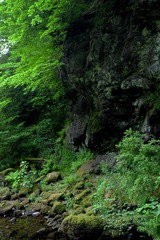 1103868D-A83F-4B26-8F6F-18279CE86271/L0/001