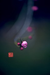49F65571-97F8-492D-BD1A-F869C0FB01EA/L0/001