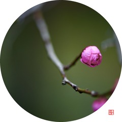 4D421558-F796-4D1F-BD83-97F5B4DF48A3/L0/001