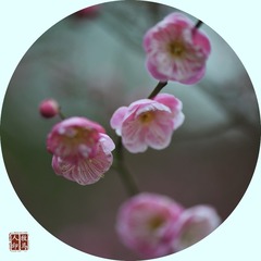 0D1B6B30-081D-4300-93C7-8942BE3D84A7/L0/001