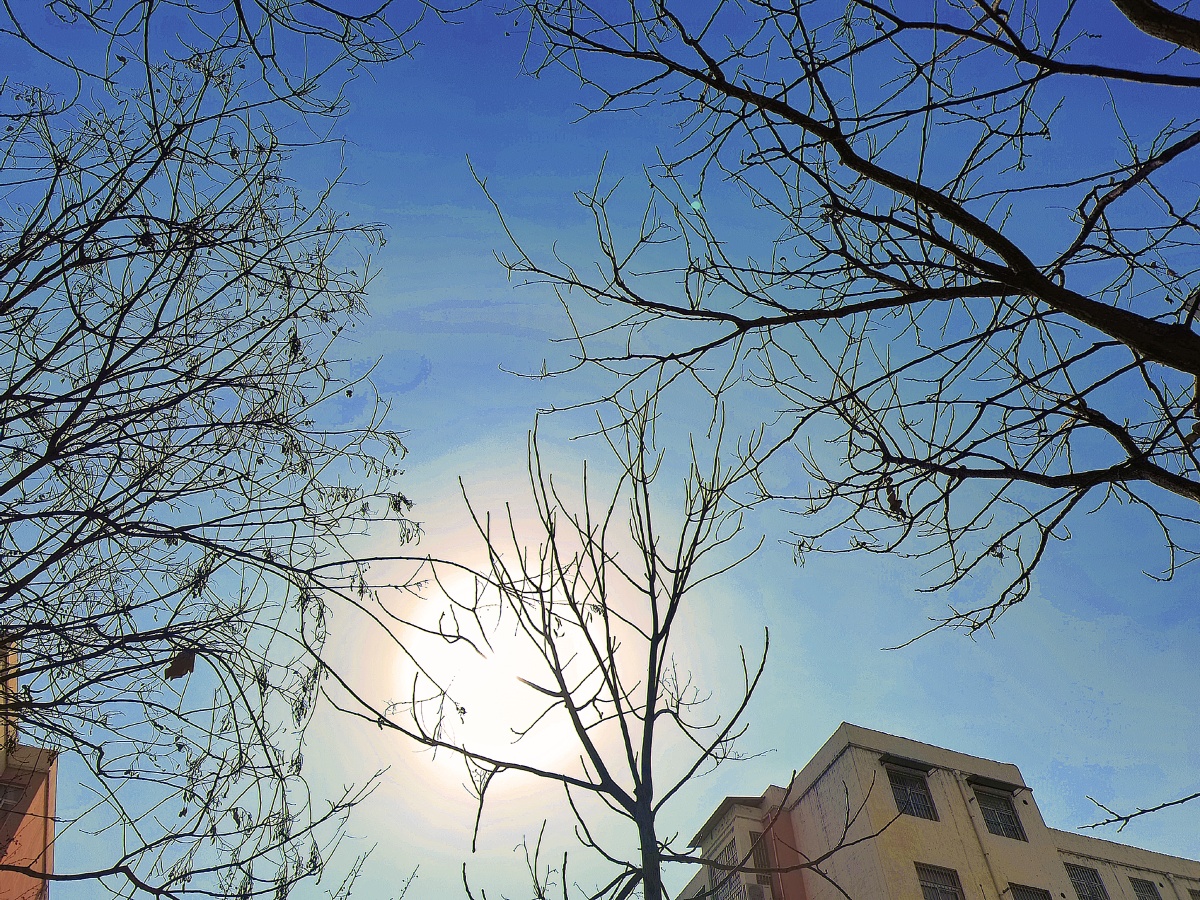 冬日温暖的阳光