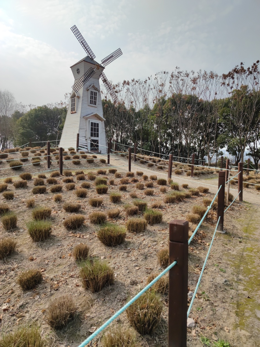 杭州钱塘江边公园造景大赏