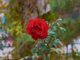 3424E910-E7CC-4B28-B285-D3CF67F4DA41/L0/001