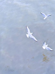 3682C2DF-5F2B-4811-8A41-23D513E14A1A/L0/001