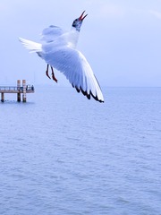 A9E1F5DE-226B-448A-9189-47B60123496F/L0/001