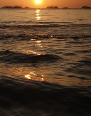 790EE945-2BD4-466D-A1C3-32AC57EB75EF/L0/001