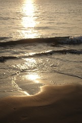 7933C71E-A8A9-4F01-9670-6B14A2AC4B51/L0/001