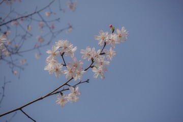 C3D66DA1-1691-4D7C-8A12-415B0A631524/L0/001