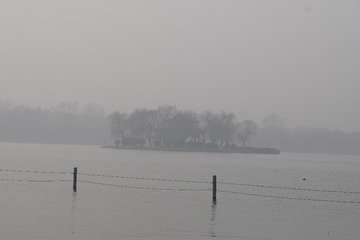 1401619