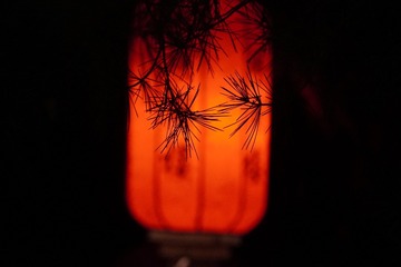 1401631