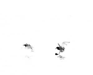 25D00104-1DFC-4968-9638-15D7D37C5C68/L0/001