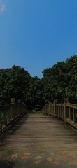 5E2FC645-861D-4E1E-BA73-5BCD1610F788/L0/001