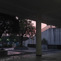 1000010305