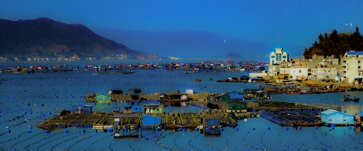 霞浦东安鱼排上的致富年