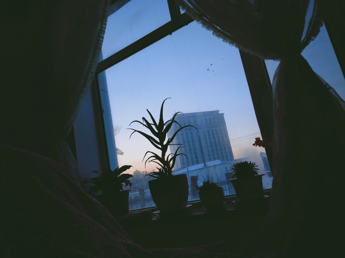 看着窗外的风景,不禁遐想～日出你们喜欢嘛