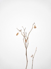 EF0F3140-C7F0-4E4F-9ED2-045A35DB08DB/L0/001