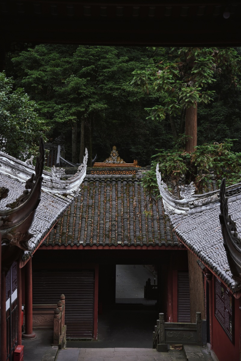 清幽与静谧相守望的山中庙宇而手心里的万物开始发芽了