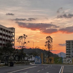 933F4B80-BA5E-4099-86C1-34E2803111E0/L0/001