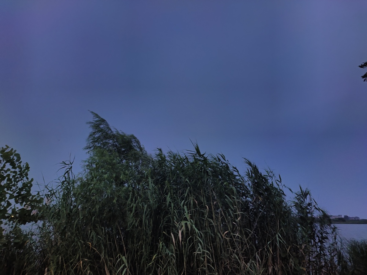 夏日的晚风吹过你也吹过我