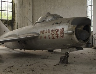 228568