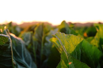 IMG_0859.JPG