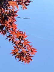 E60DE2D9-3849-4617-AE78-07B070ACDAC2/L0/001