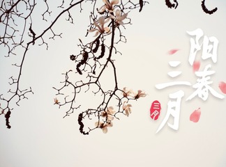 7A4A0D01-7C9A-4981-A443-A2B9D9AB041C/L0/001