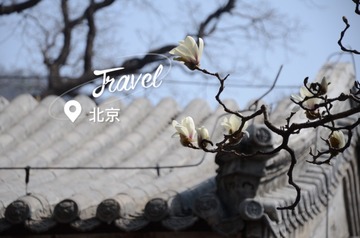 657EB132-B28B-47F8-93F8-2E5227BBF9CE/L0/001