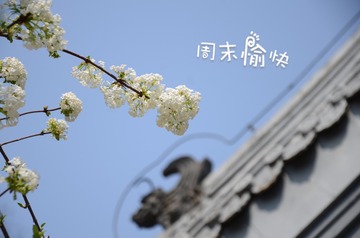 C8B709E2-9F4D-4CFB-9408-74D732D28537/L0/001