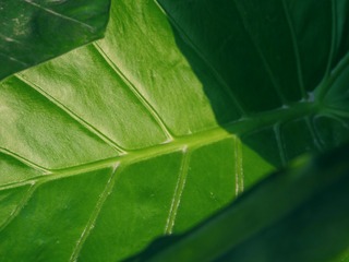 667934