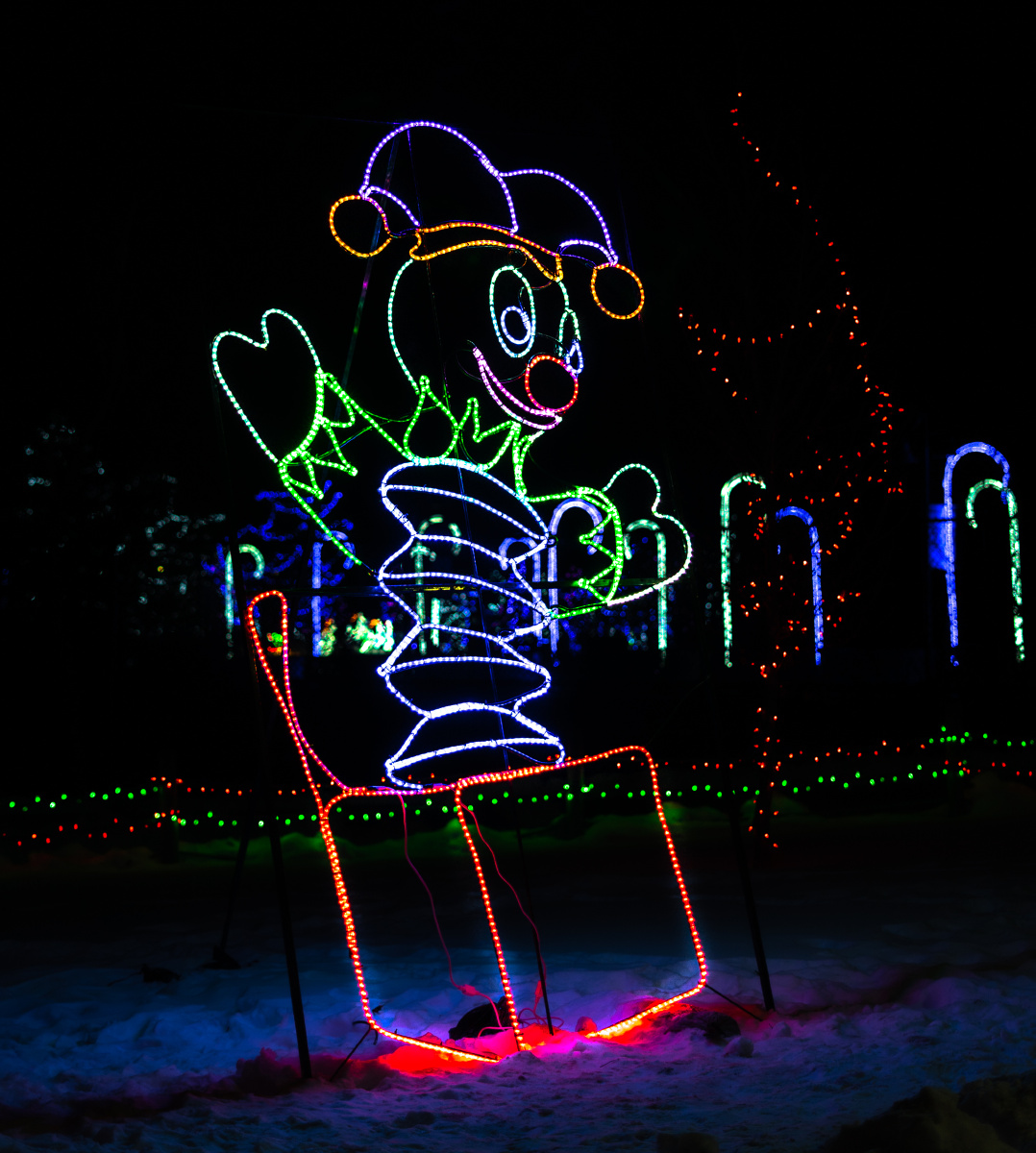 加拿大卡尔加里动物圆的zoolight霓虹灯