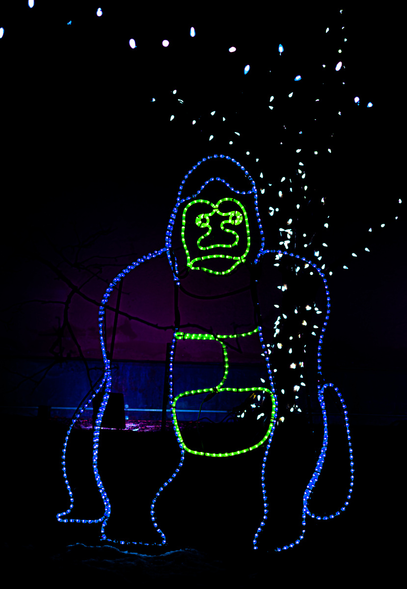 加拿大卡尔加里动物圆的zoolight霓虹灯